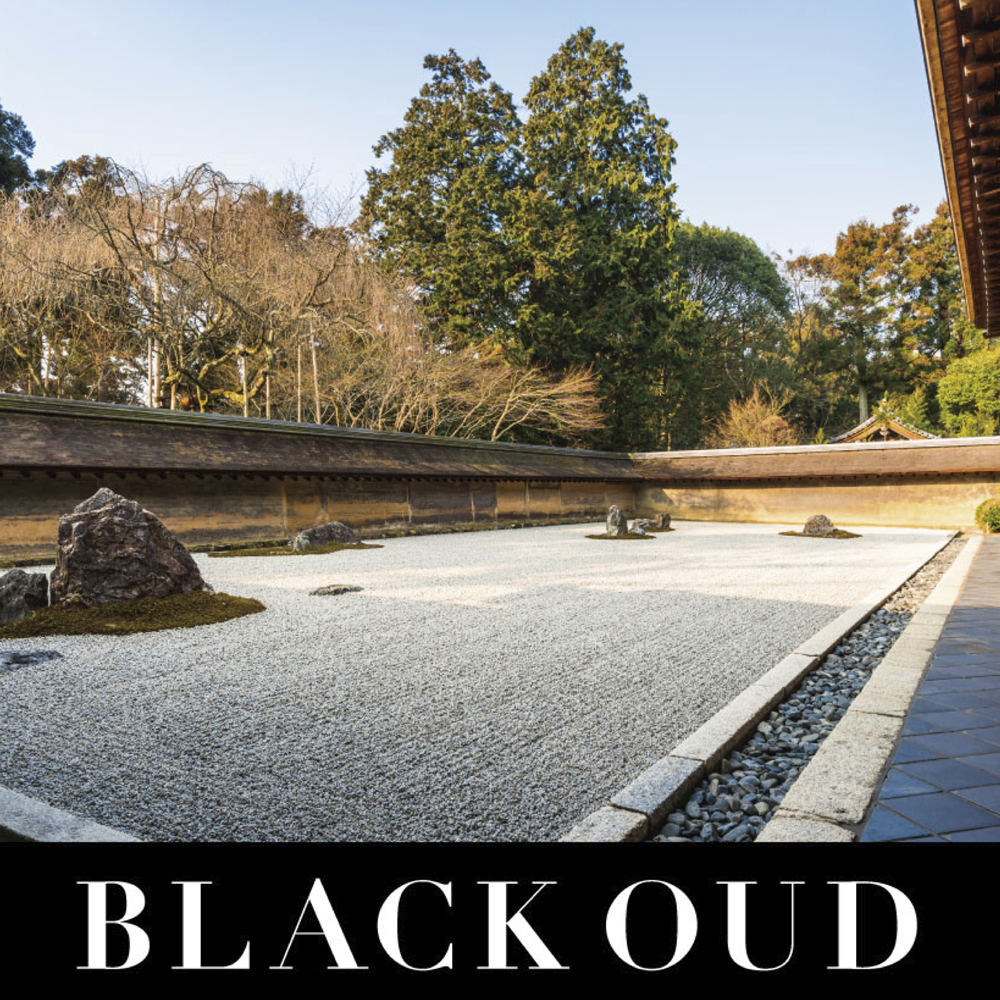 ブラックウードイメージ